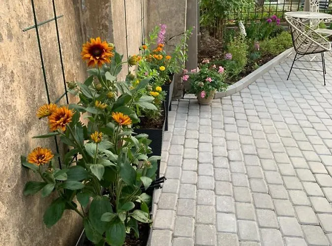 Emily بيت ضيافة