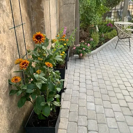 Emily Casa de hóspedes